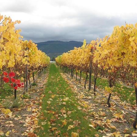 Korohi Vineyard Bnb بلينهايم المظهر الخارجي الصورة